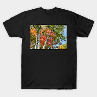 New Engalnd autumn colors T-Shirt